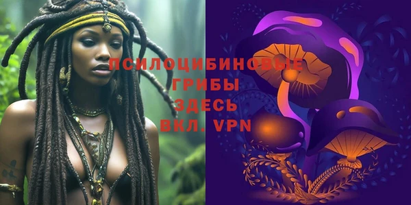 прущая мука Абаза