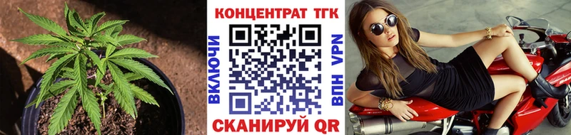 ТГК Wax  сколько стоит  Ак-Довурак 